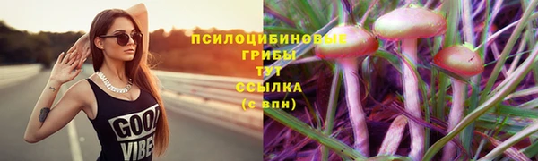 каннабис Волоколамск