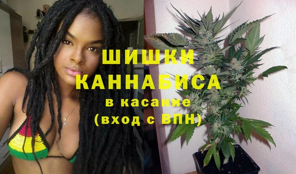 ГАЛЛЮЦИНОГЕННЫЕ ГРИБЫ Горняк