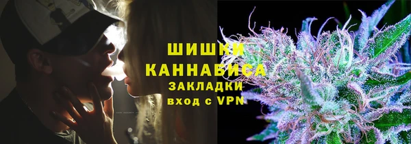 ГАЛЛЮЦИНОГЕННЫЕ ГРИБЫ Горняк