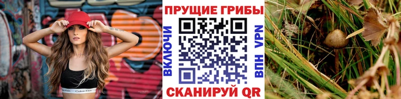 Галлюциногенные грибы мухоморы  Заволжье 